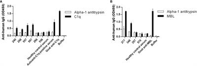 Autoantibodies against complement factor B in rheumatoid arthritis